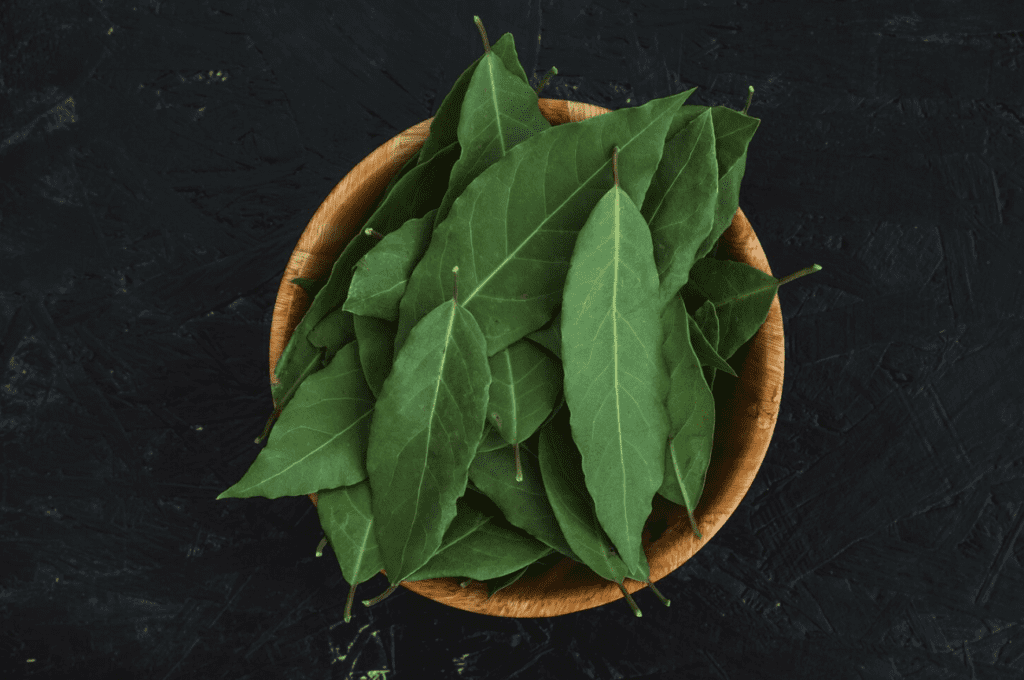 Neem Tree (Azadirachta indica): Top 9 Important Health Benefits